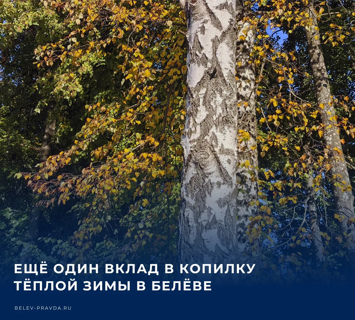 ❄️ Рекордно сильное явление Эль-Ниньо, развивающееся на планете, настраивает многих спе...