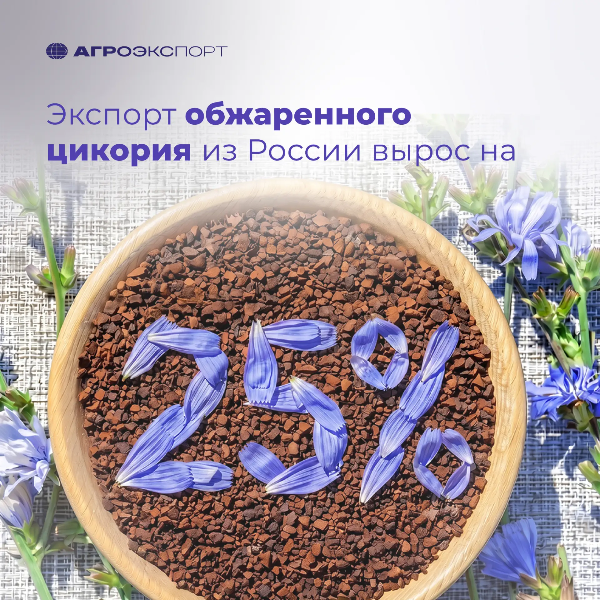 Экспорт обжаренного цикория из России вырос на 25%