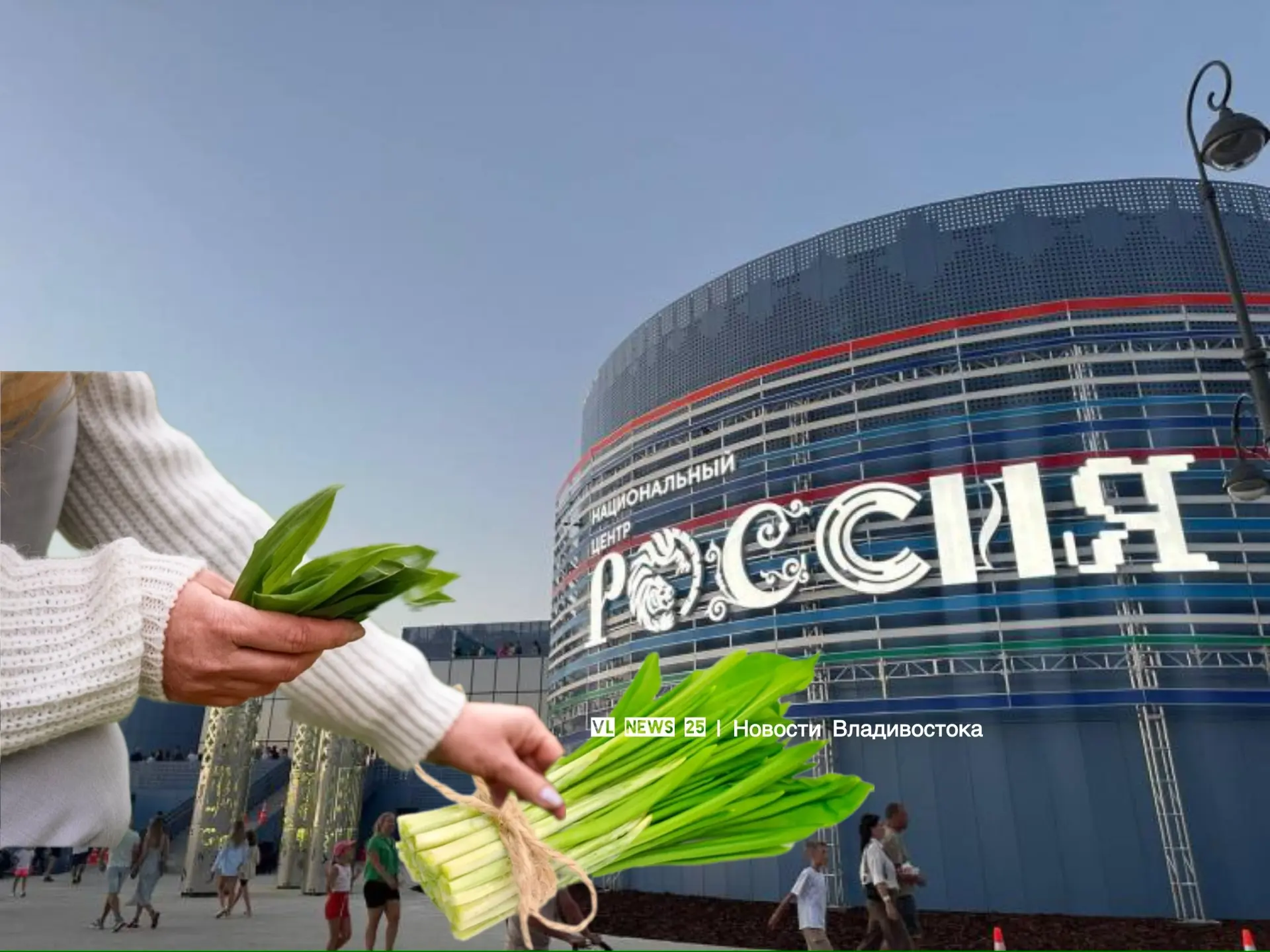 🥬 Во Владивостоке в наццентре «Россия» уже в эту субботу пройдет праздник черемши — шеф-повара прове