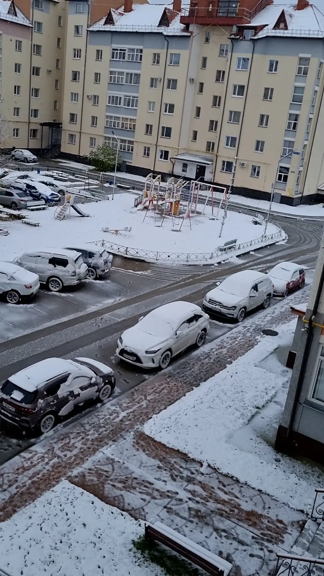 Что за странности такие, птицы на прошлой неделе и сегодня врезаются в наше окно (вороб...
