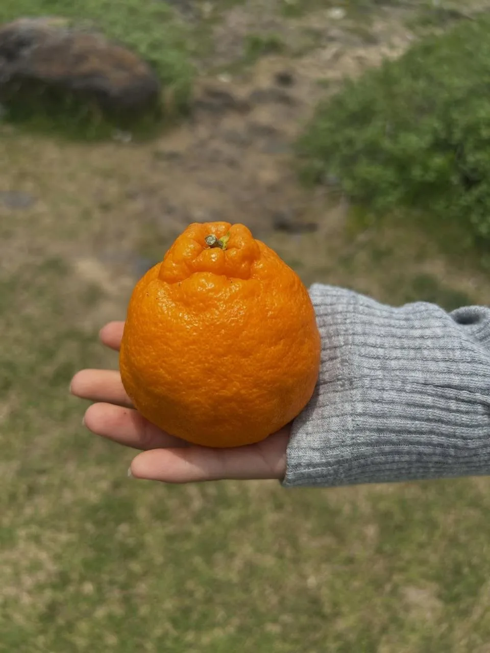 🤩 обновление соцсетей Соён: