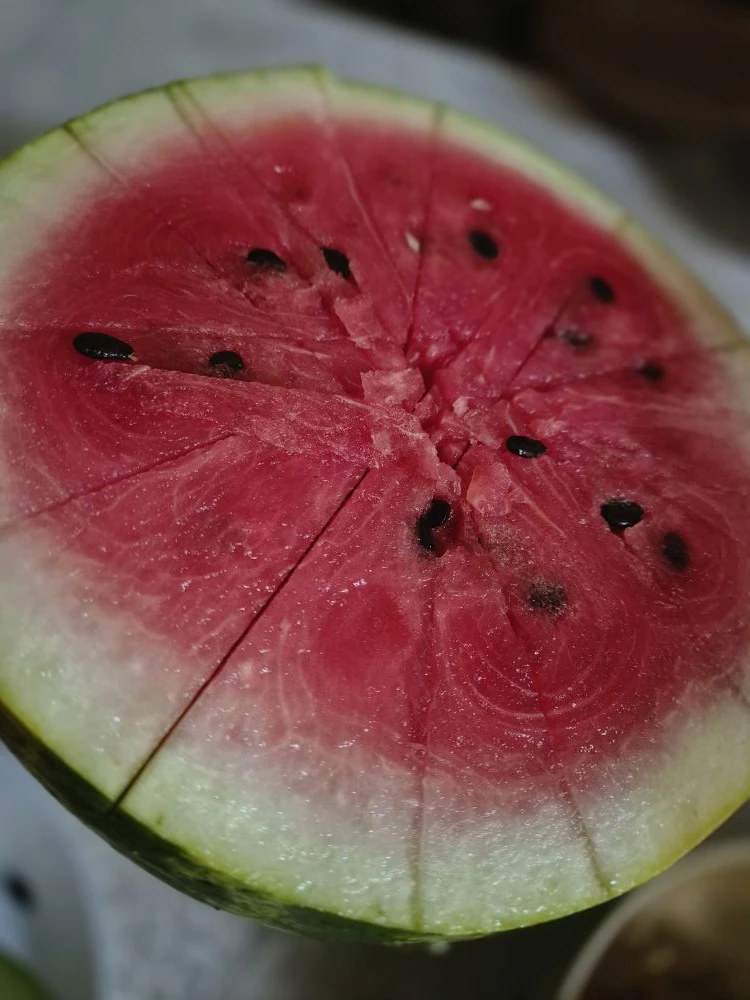 Арбуз бомба, честно говоря 🔥🍉