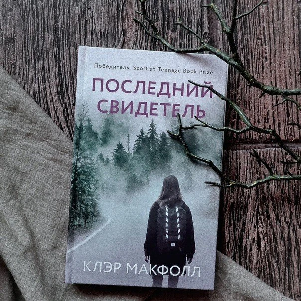 Клэр Макфолл «Последний свидетель»