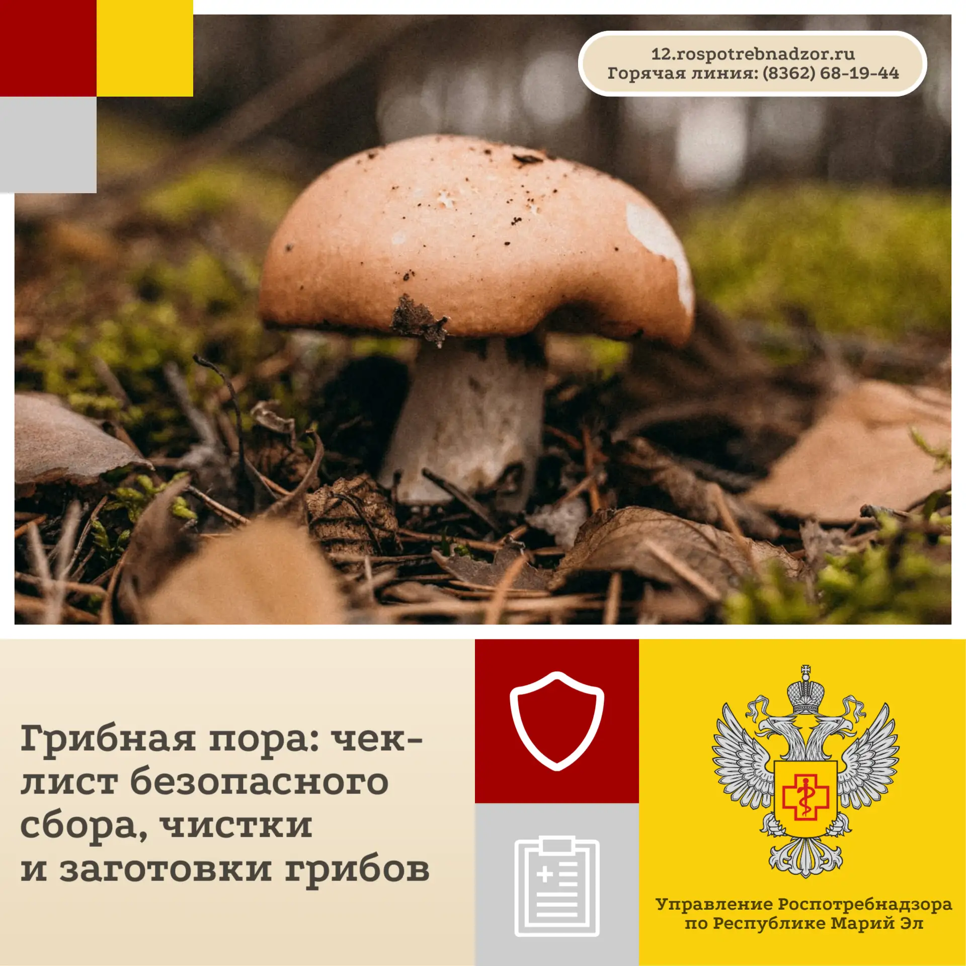 Для того чтобы «тихая охота» принесла только радость, есть чек-лист: от сбора до заготовки