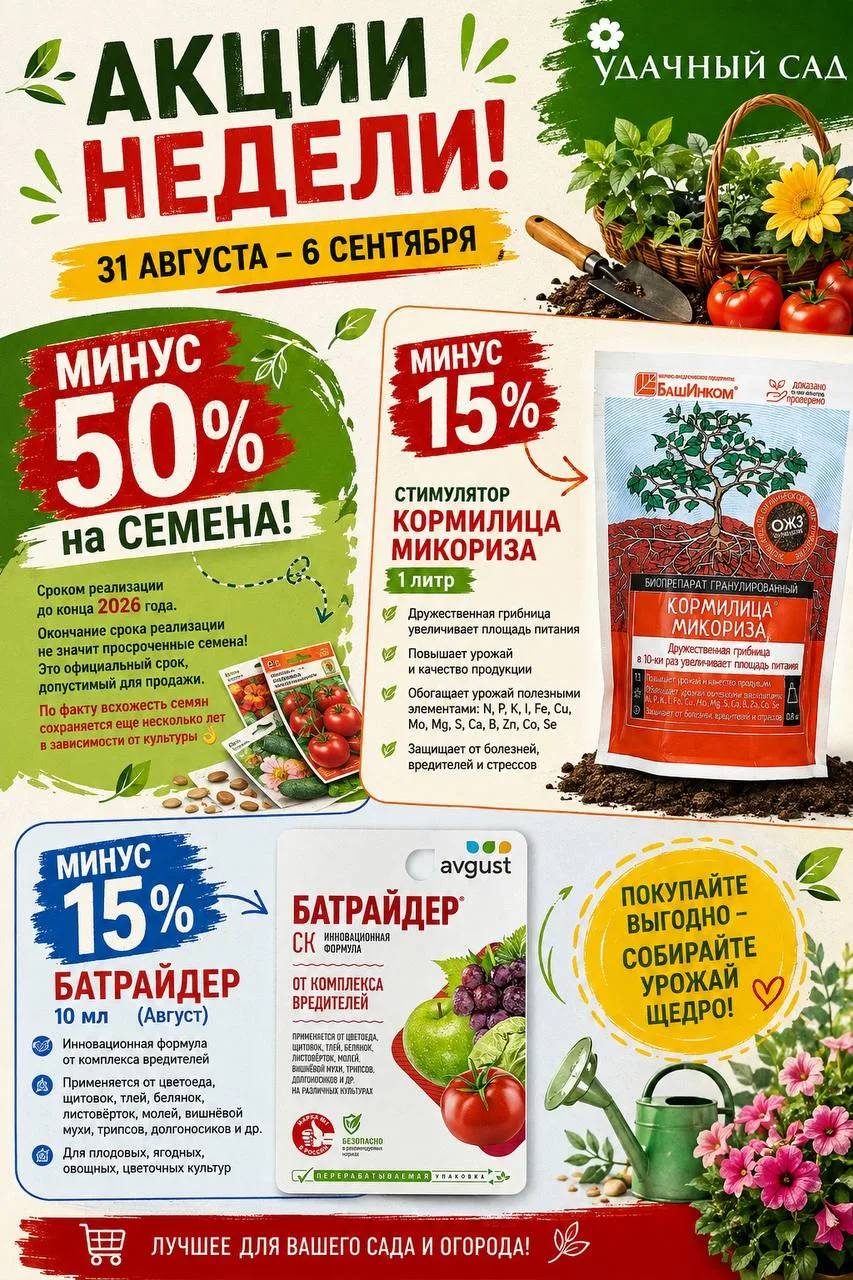 Доброе утро, друзья!