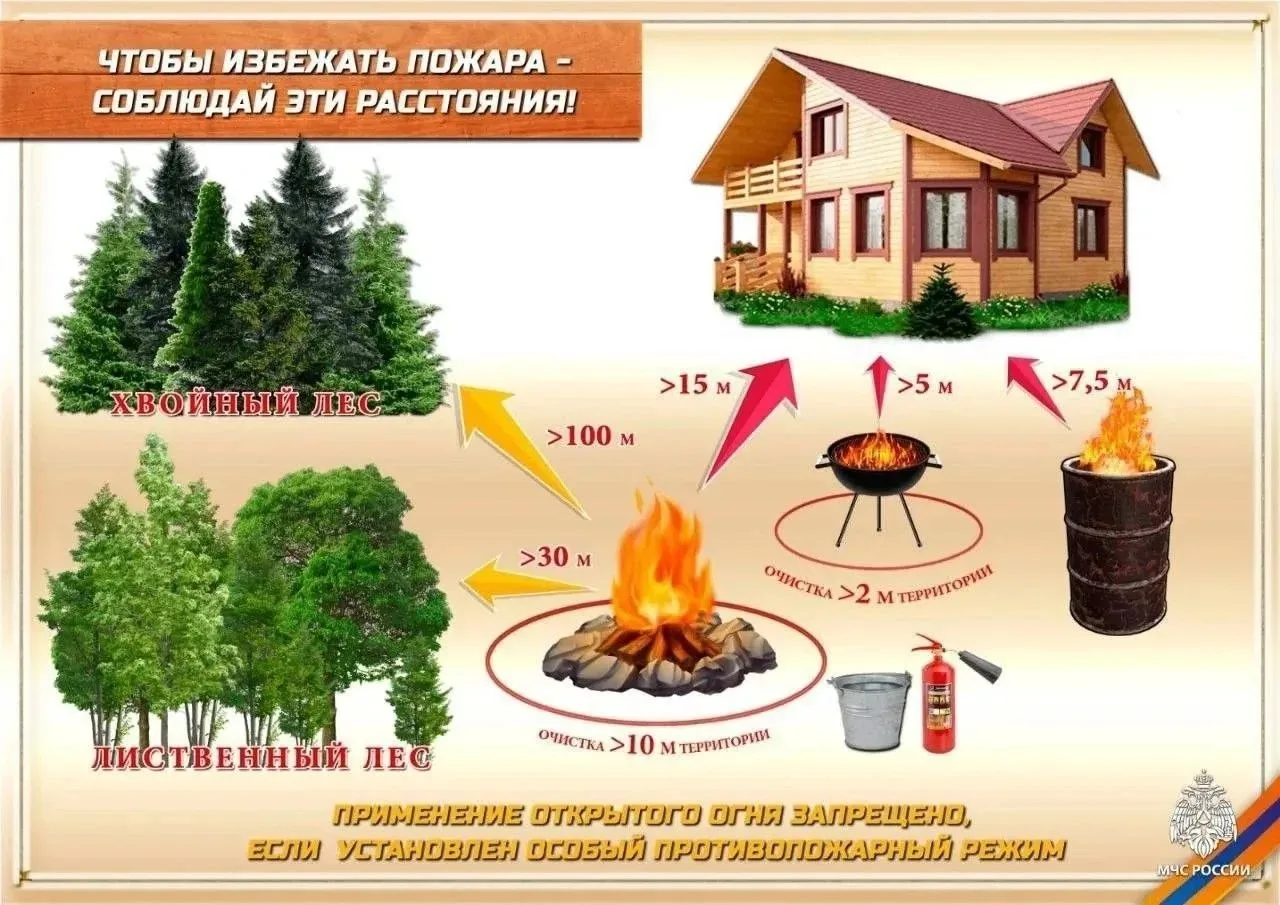 🍂 Осенняя уборка на даче должна быть безопасной!