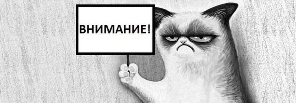 Кто сейчас лениво листает ленту?