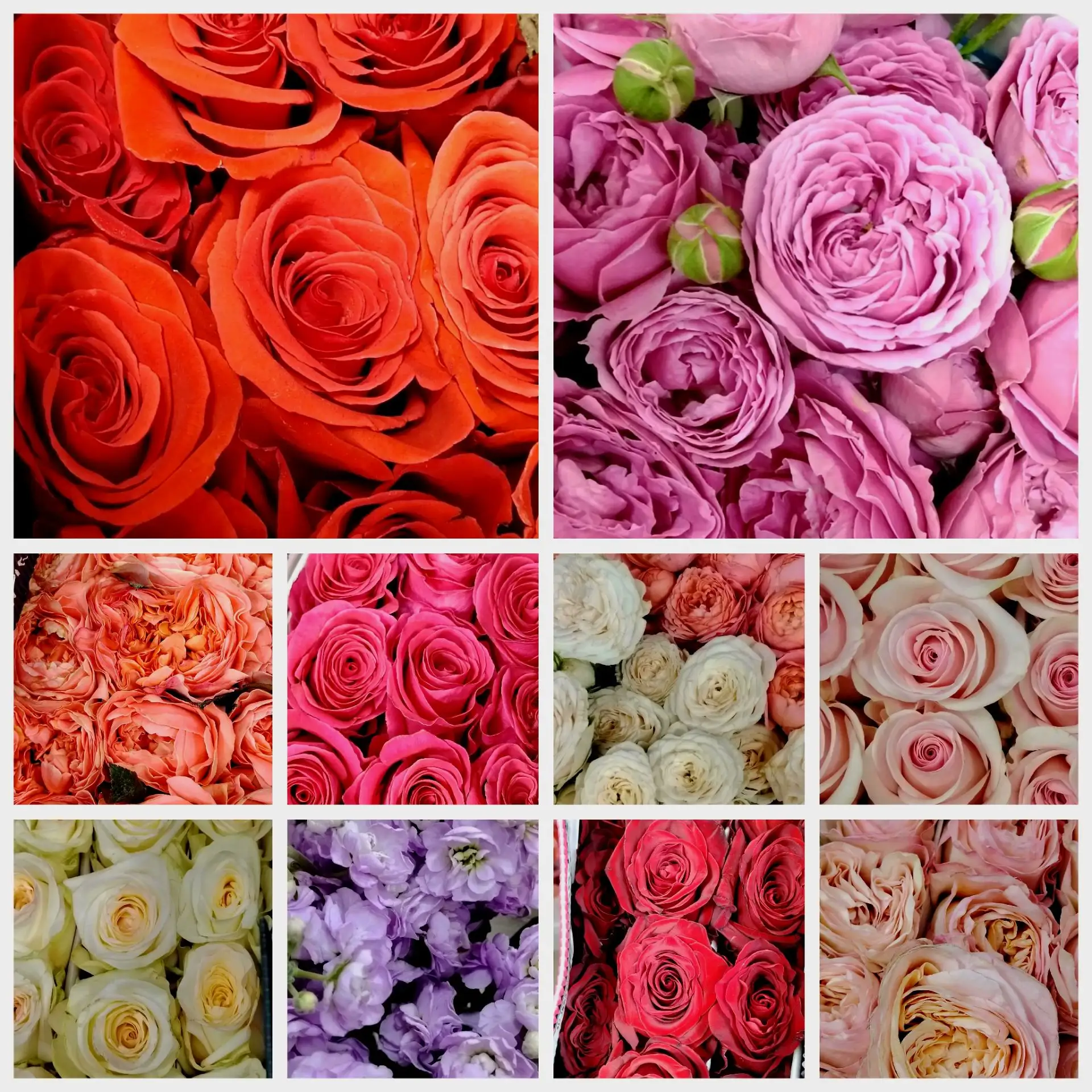 💐Свежая поставка цветов