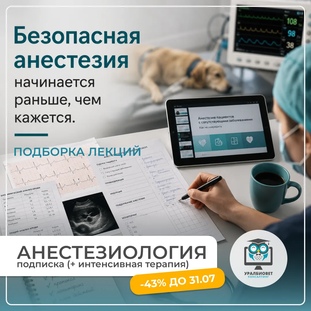🩺 Хорошая анестезия начинается не с выбора препарата.
Она начинается с оценки пациента. С понимания