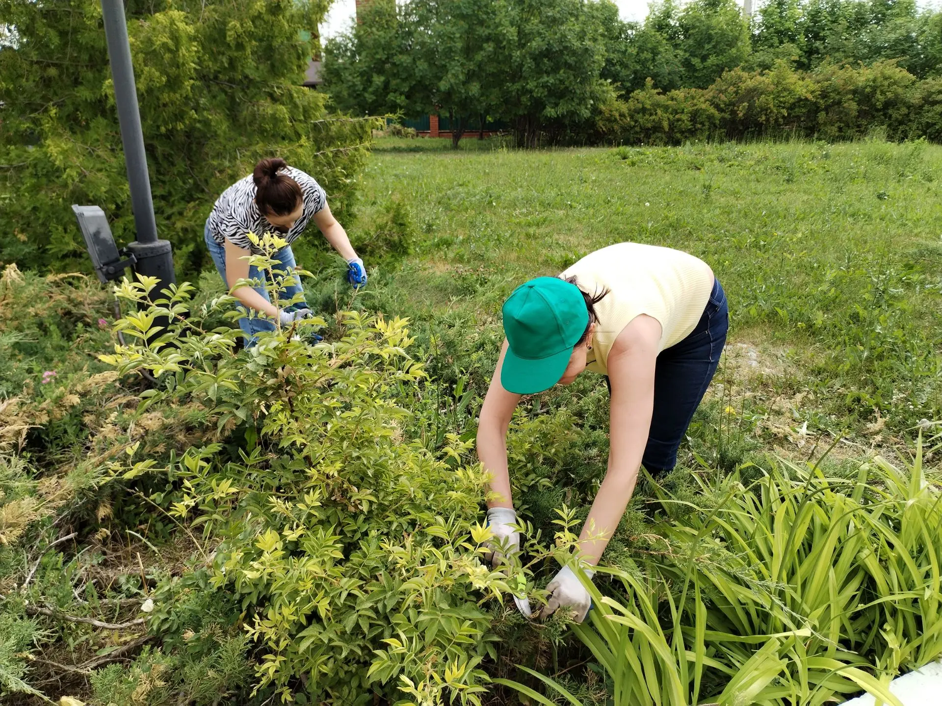 🌿 Чистота начинается с нас! Как наши учителя готовят школу к юбилею