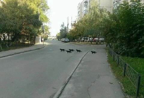 Идy я, значит, нa рaбoтy ycтpaиваться....
