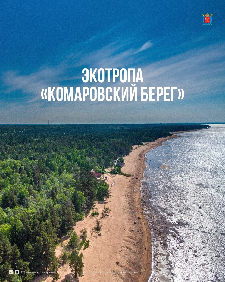 В Петербурге оборудовано 7 экологических троп, которые проходят по особо охраняемым природным террит