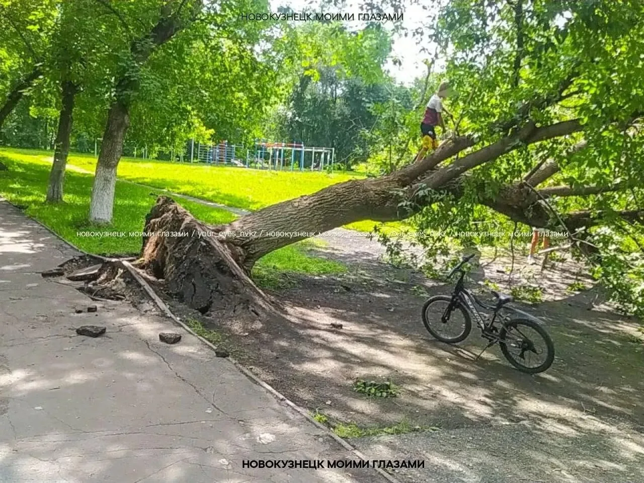 👀В Новокузнецке дерево приуныло

📍Запсиб, 40 лет ВЛКСМ 98а.

Фото: Новокузнецк моими глазами