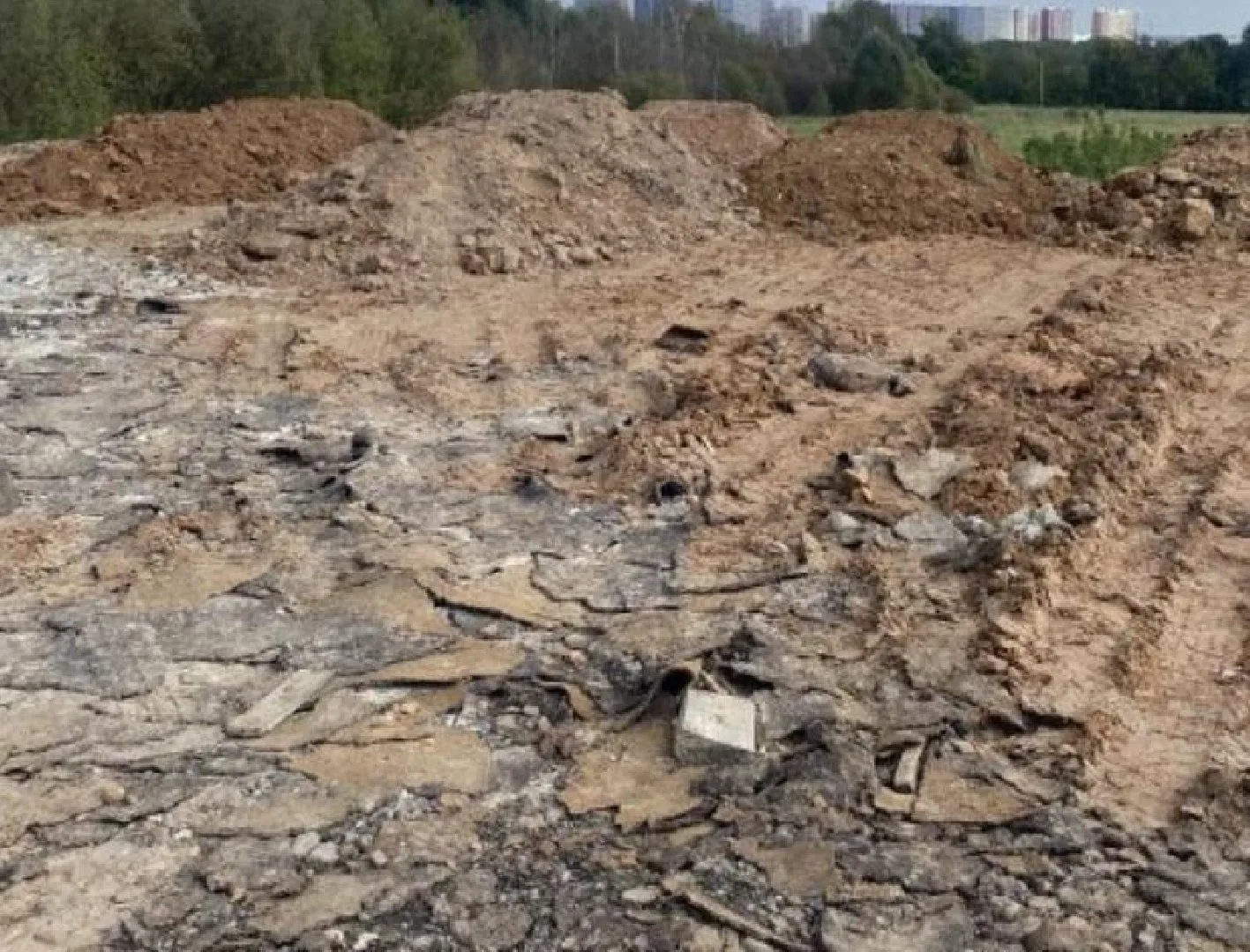 Владелец участка в деревне Петрово выравнивал землю с помощью строительного мусора — боя кирпича и о