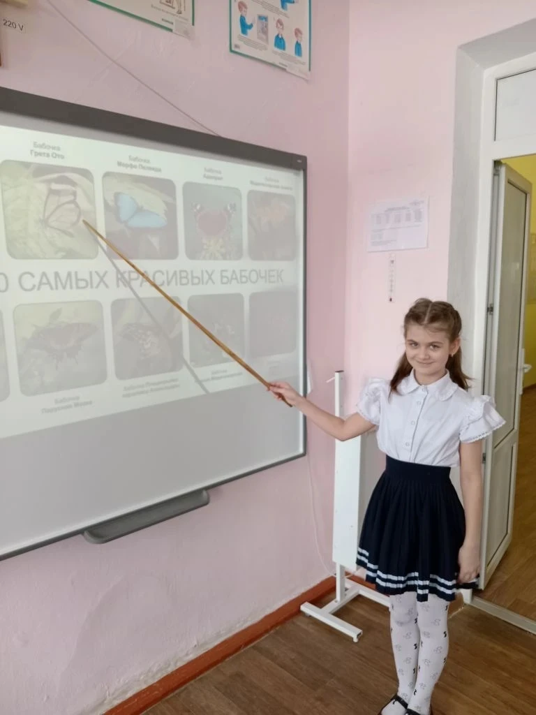 🦋 Учащиеся 4 "А" класса на уроке труда узнали о  разнообразном мире бабочек нашей план...