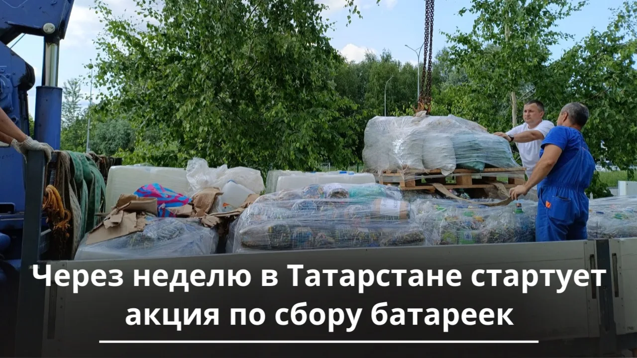 🦔🔋Сдай батарейку – спаси ежа!