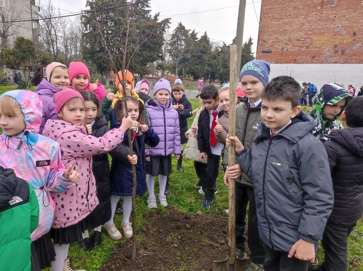 Сегодня 1"Г" класс посадил "дерево Дружбы" 🤗 Вроде бы как посадили "Иву"... Афина точн...