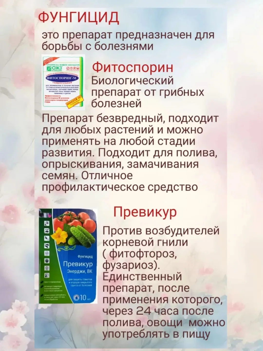 Про фунгициды ⬇️

Автор: florance_petro_kz

Секрет дачи | Дом и сад