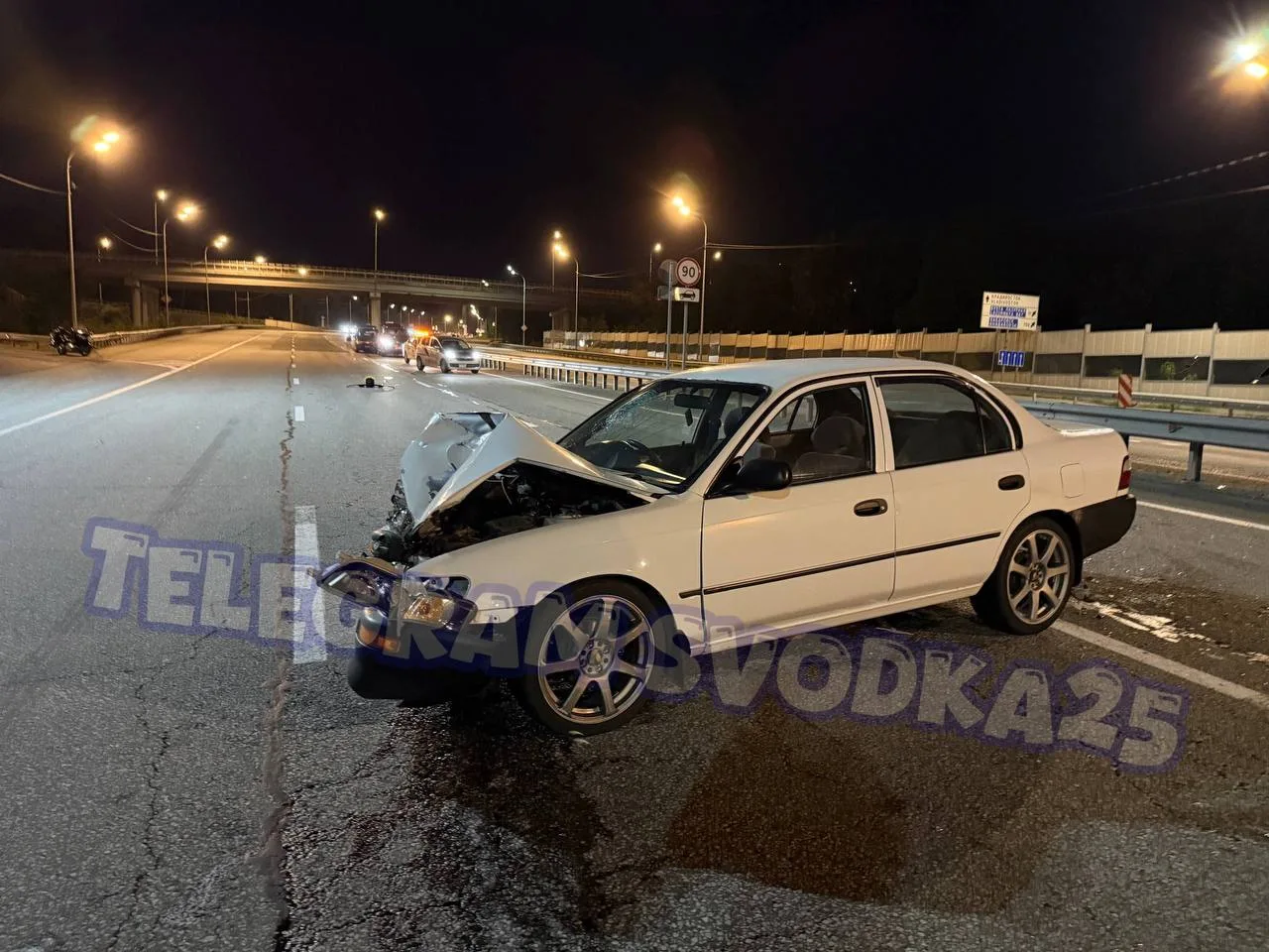Во Владивостоке на Маковского произошло жесткое тройное ДТП, в котором погибла собака — водитель Кор