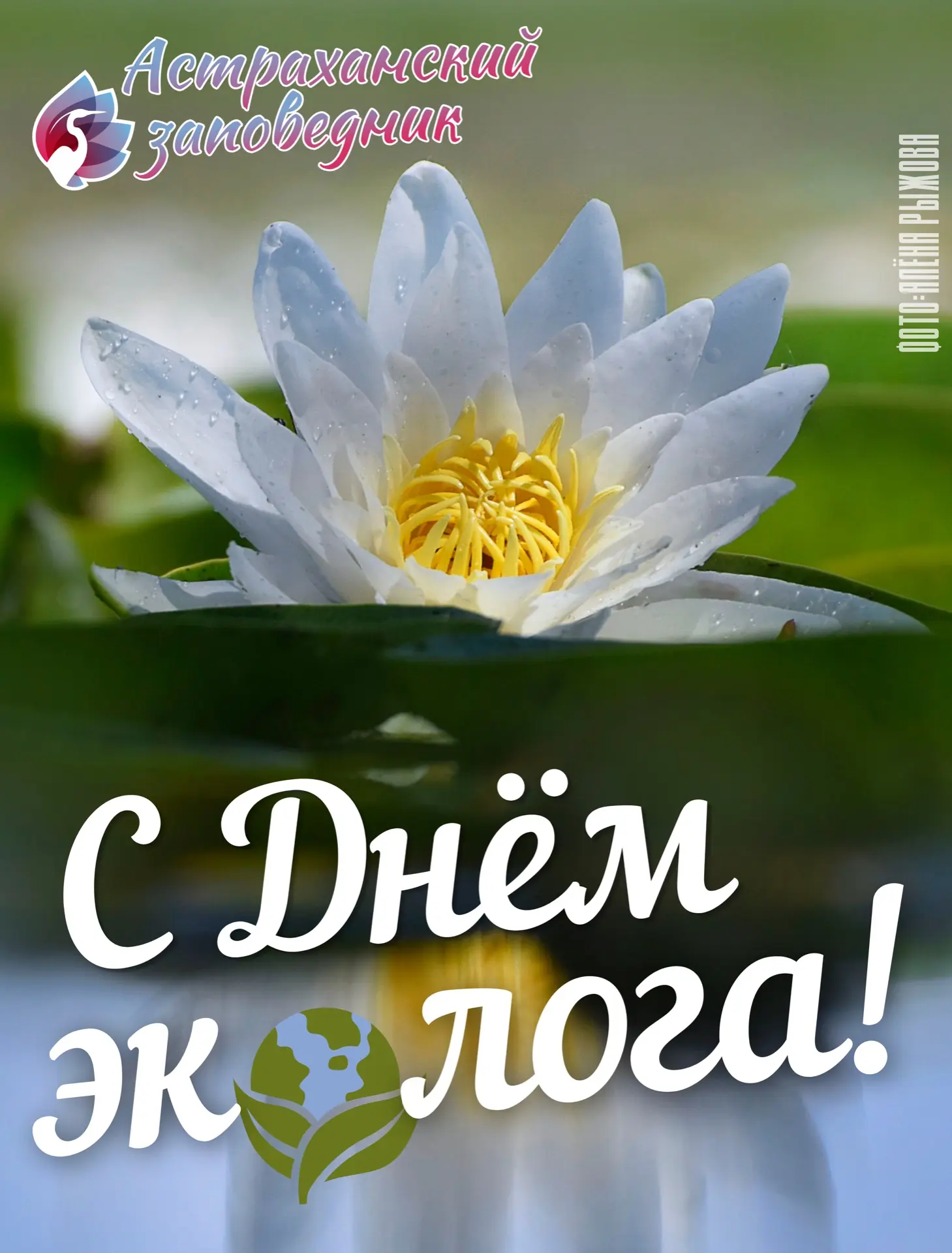 🌿 С Днём Эколога!