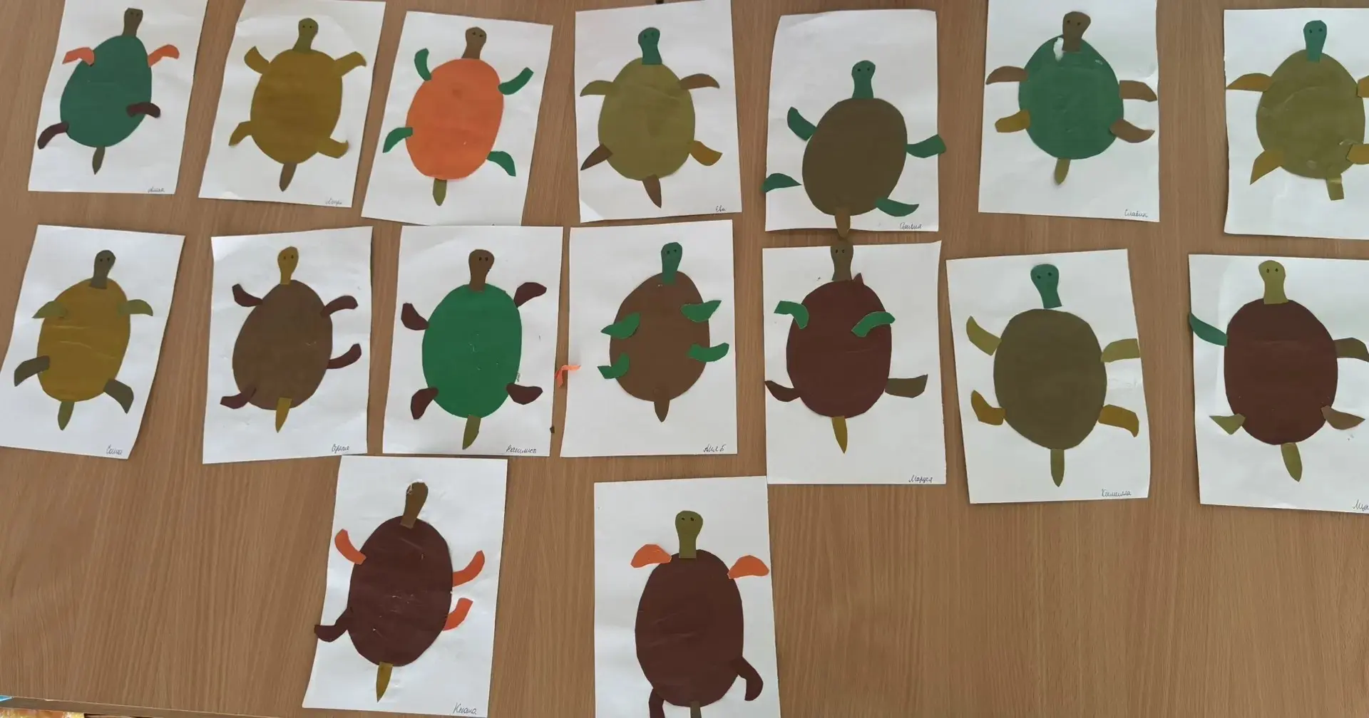 🐢 Всемирный день черепахи  во второй младшей группе! 
 
Много черепах бывает, 
Разных видов и пород