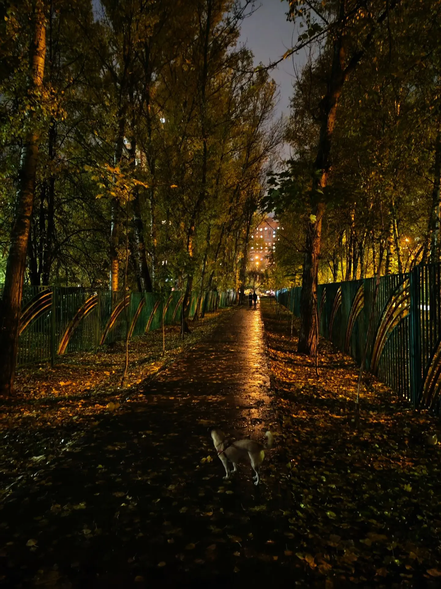 До встречи 🌄 и доброй ночи всем-всем-всем!