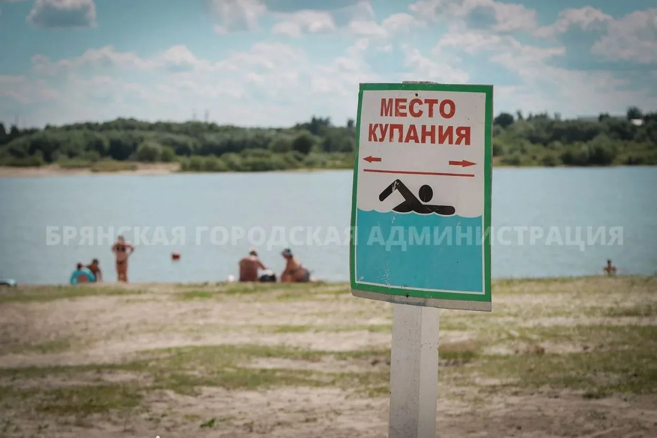 За лето на «диких» пляжах Брянска утонули четыре человека