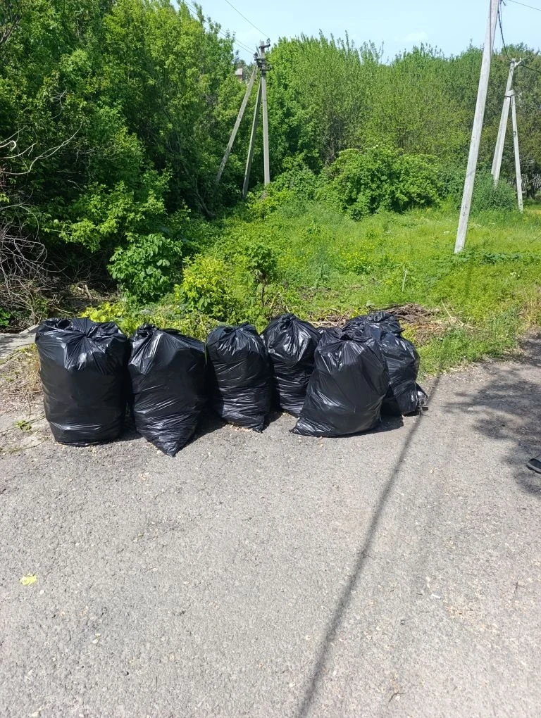 Ликвидация несанкционированного мусора