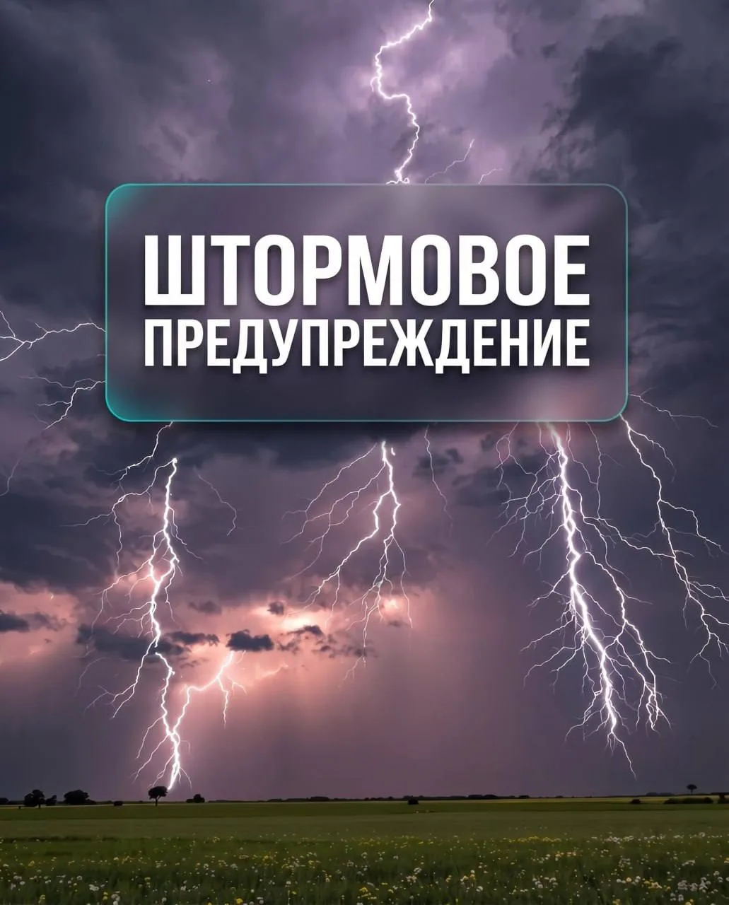 ⚠️ В КЧР объявлено штормовое предупреждение

🌧 По данным регионального управления МЧС, с 4 по 5 авг