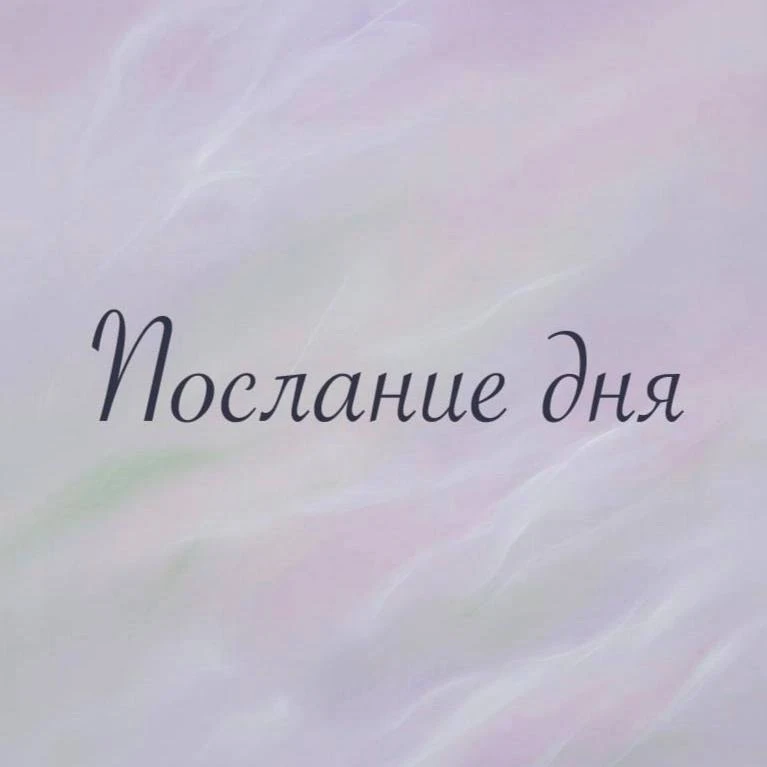 ✨