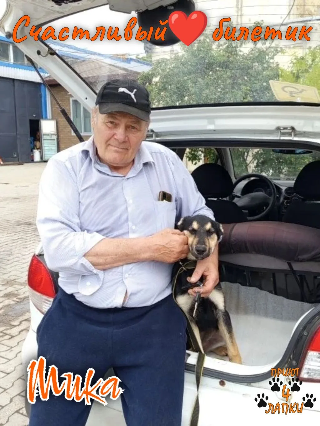 Ещё один Счастливый❤билетик нашёл своего владельца!

Домой уехала Мика — одна из тех щенуль, которых