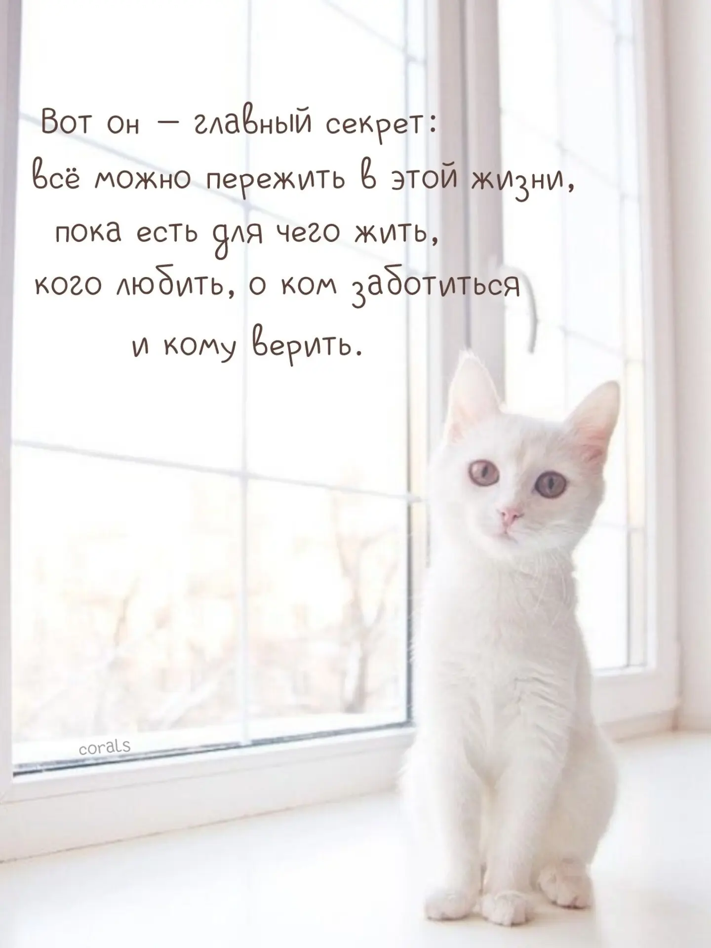 🇷🇺  Мы в МАХ : https://max.ru/dusha_angela_new