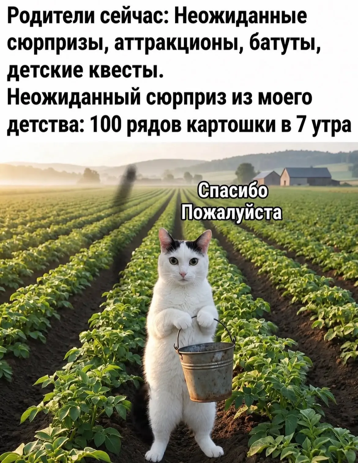 Тётя Фанни