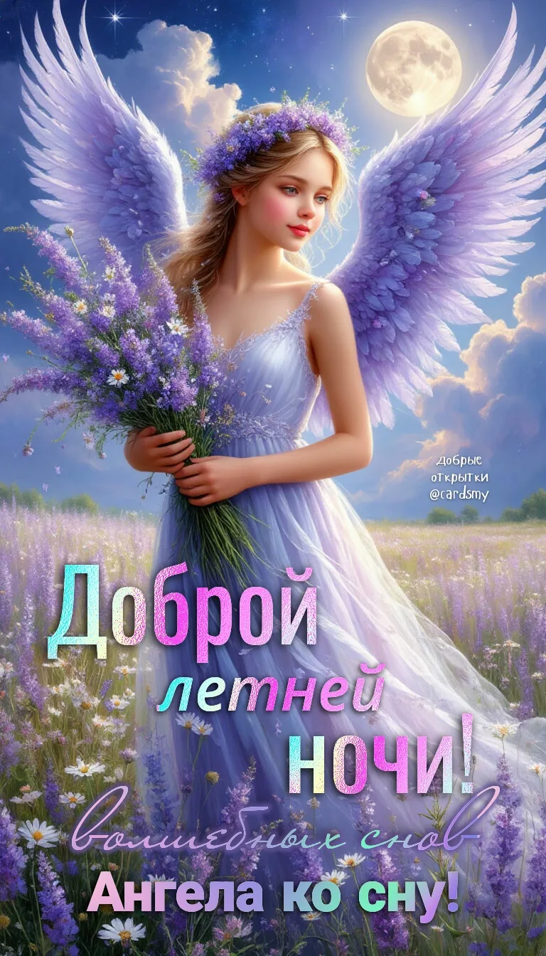 Доброй летней ночи!