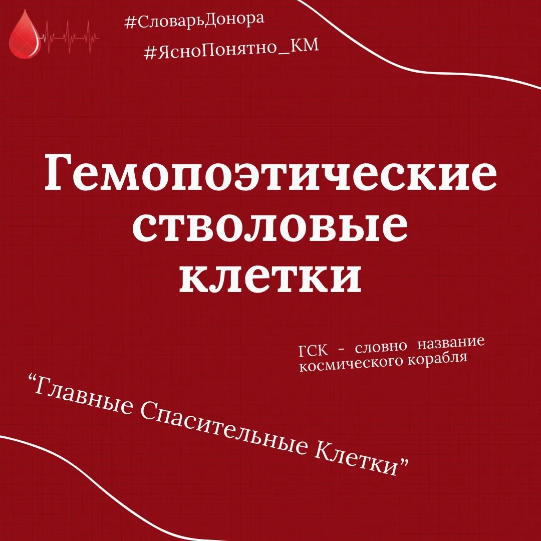 #СловарьДонора #ЯсноПонятно_КМ #ГемопоэтическиеСтволовыеКлетки