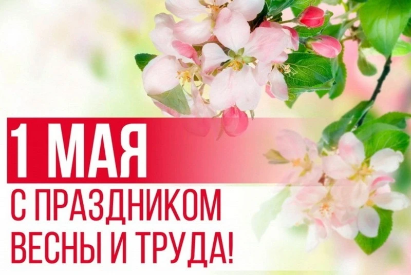 Уважаемые коллеги, друзья! Поздравляем вас с праздником Весны и Труда! Этот день объеди...