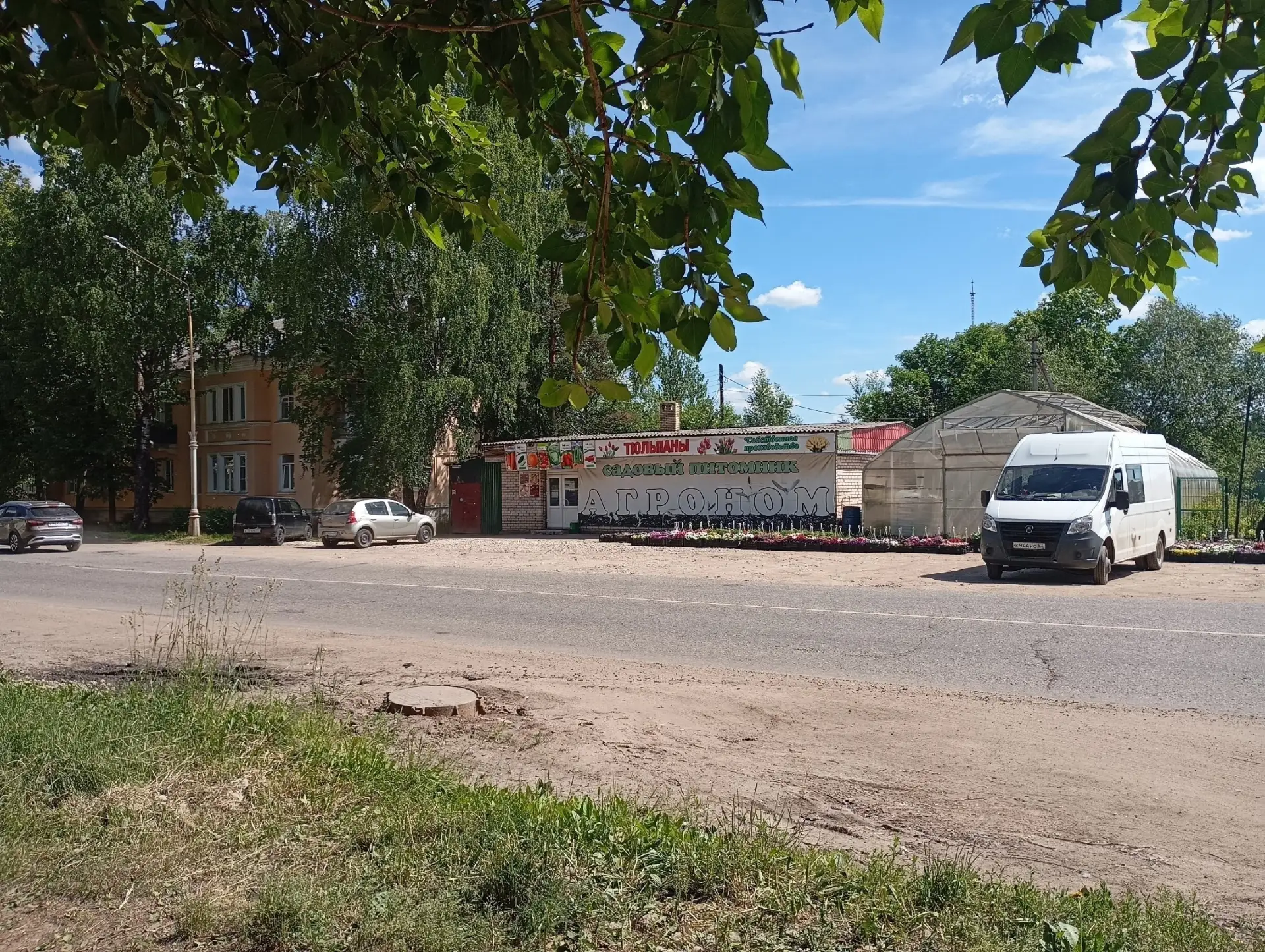Трагическое событие произошло 13 июня 1971 года в Боровичах на улице Ленинградской. Сильный продолжи