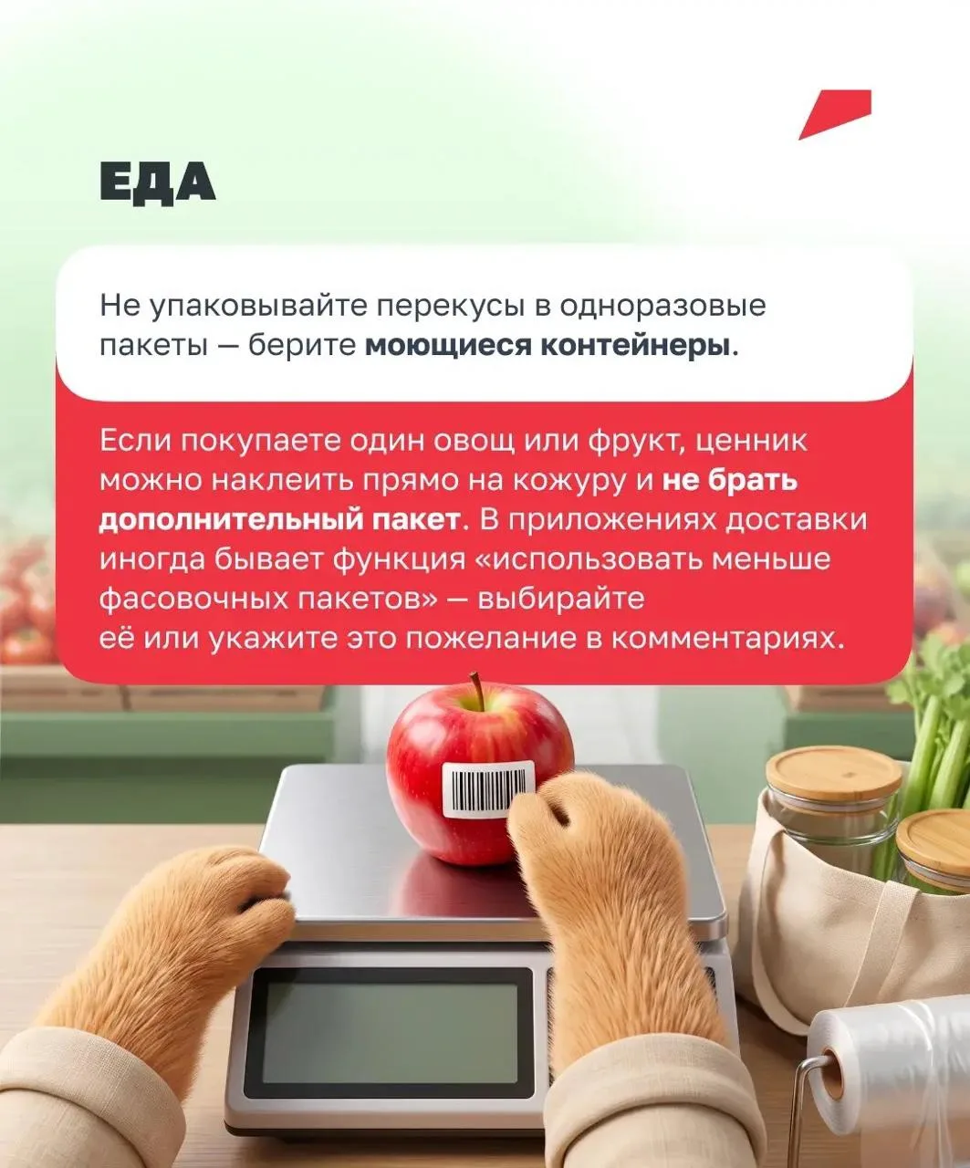 🛍 Как использовать меньше пластика