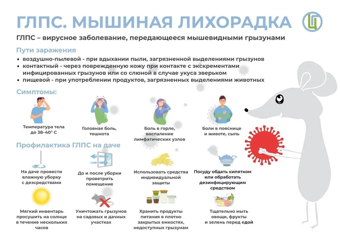 Осторожно: мышиная лихорадка!