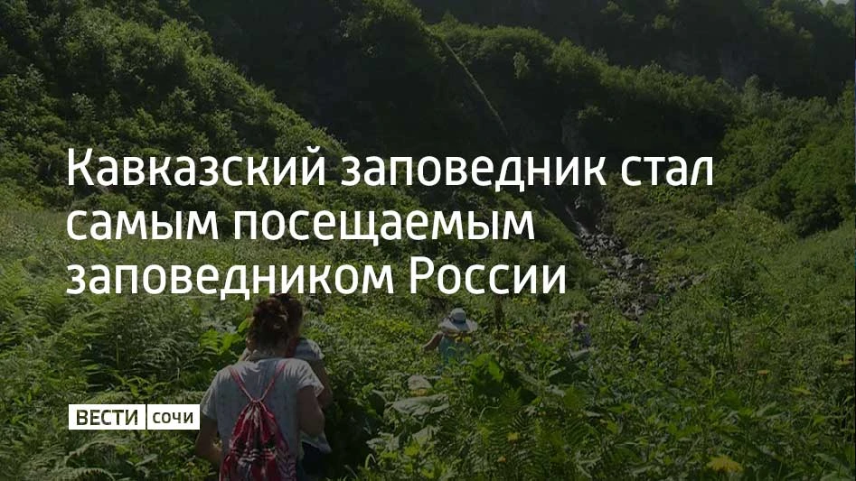 С января по июнь 2026 года в Кавказском заповеднике, который находится на территории Краснодарского 