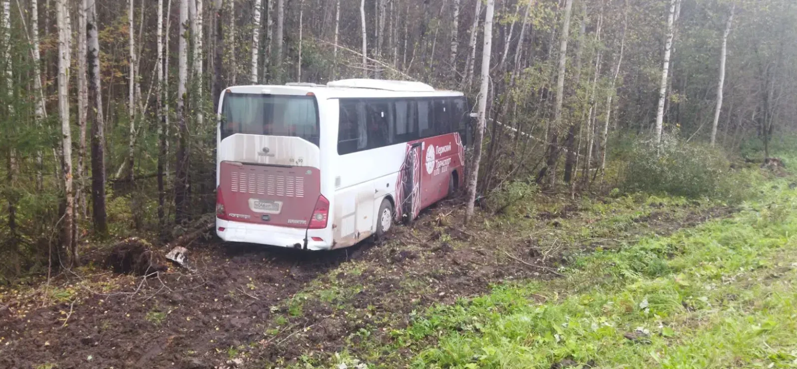 Пассажирка автобуса, попавшего в ДТП в Прикамье, рассказала как люди вели себя после см...
