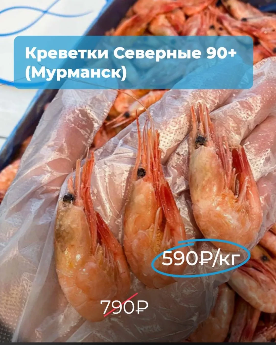 Морепродукты N1: Новые акции каждую НЕДЕЛЮ 😍  📲 https://iimax.ru/moreproduct1  🩵 Огромный ассортимен