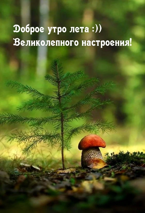 У кого тоже 43 августа, держимся! 🤝