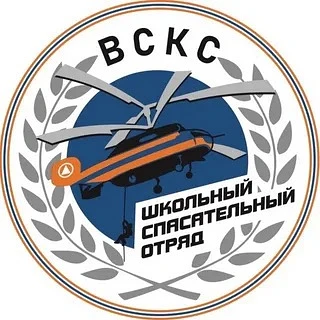 Школьный спасательный отряд «Ястреб» Лицея №14 им.А.К.Болдырева по итогам отборочного этапа прошел в