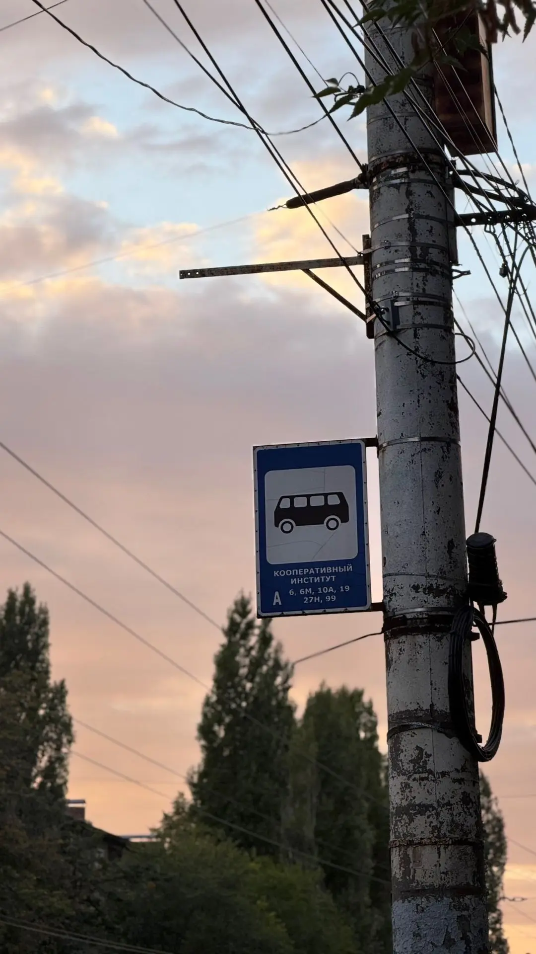 🚌 Слабое место транспортной реформы нашли на остановках в Воронеже