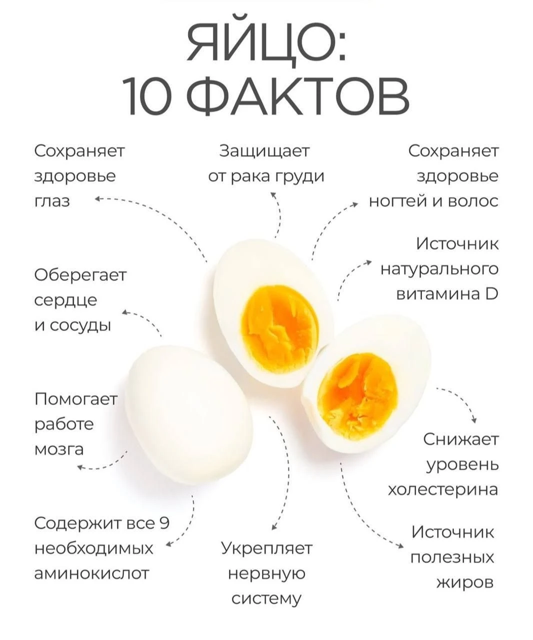 🔟 фактов про яйца!