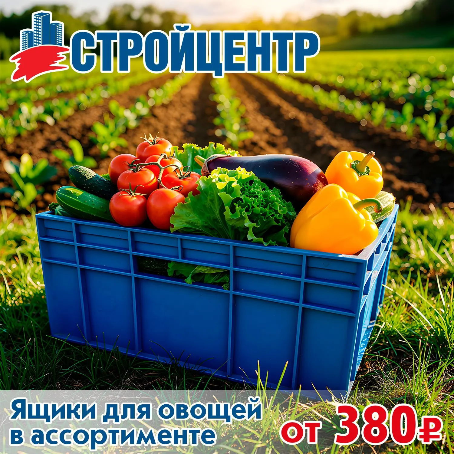 Ящики для овощей в Стройцентре! 🥒

🔗 Детали у продавцов-консультантов - отдел "Изделия из металла"