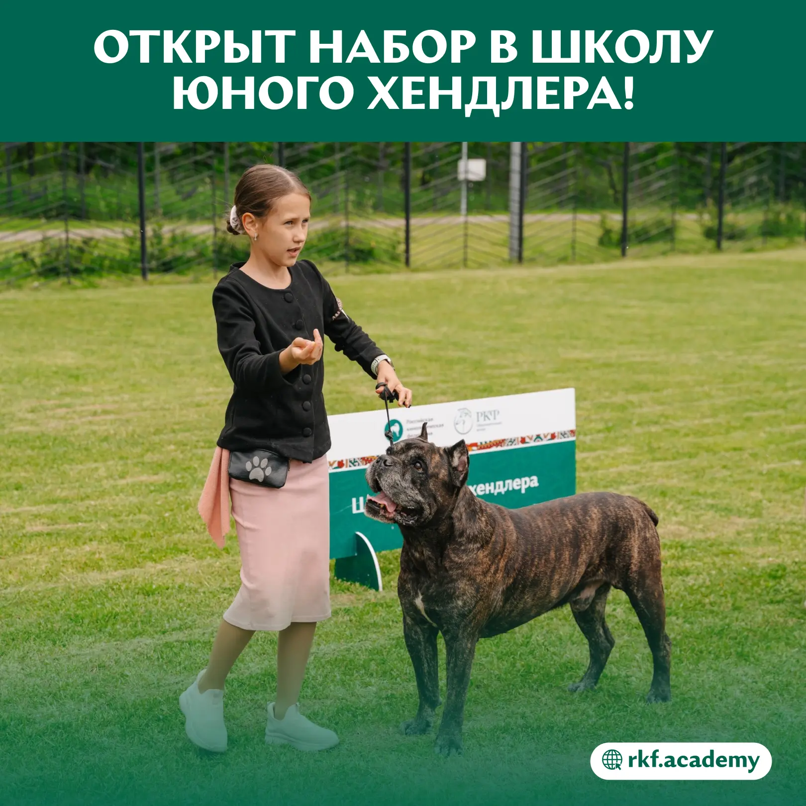 👀 Давно мечтаешь поступить в Школу юного хендлера ОЦ РКФ? Сейчас самое время — открыт ...