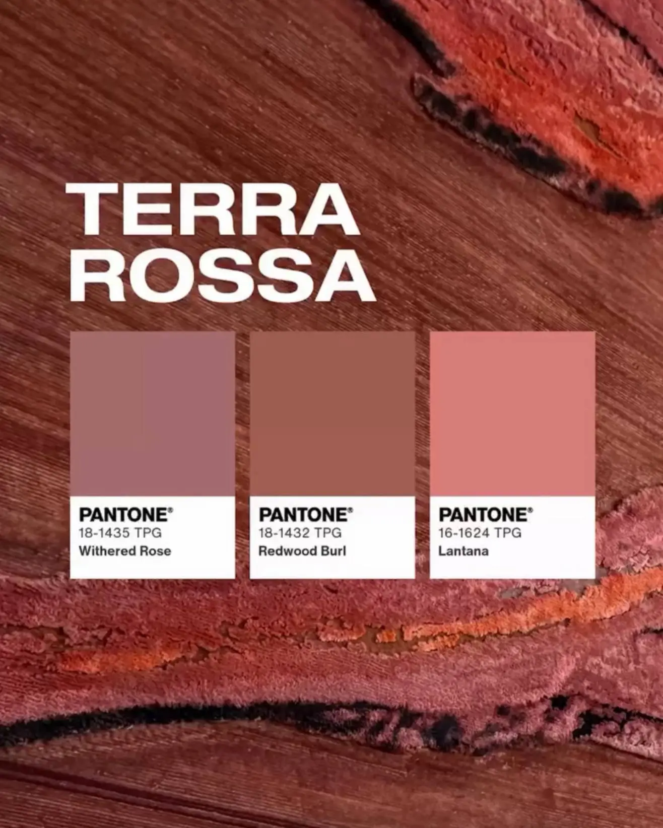 Pantone подвел итоги Milan Design Week 2026 и назвал пять главных цветовых направлений.  Важно, что 
