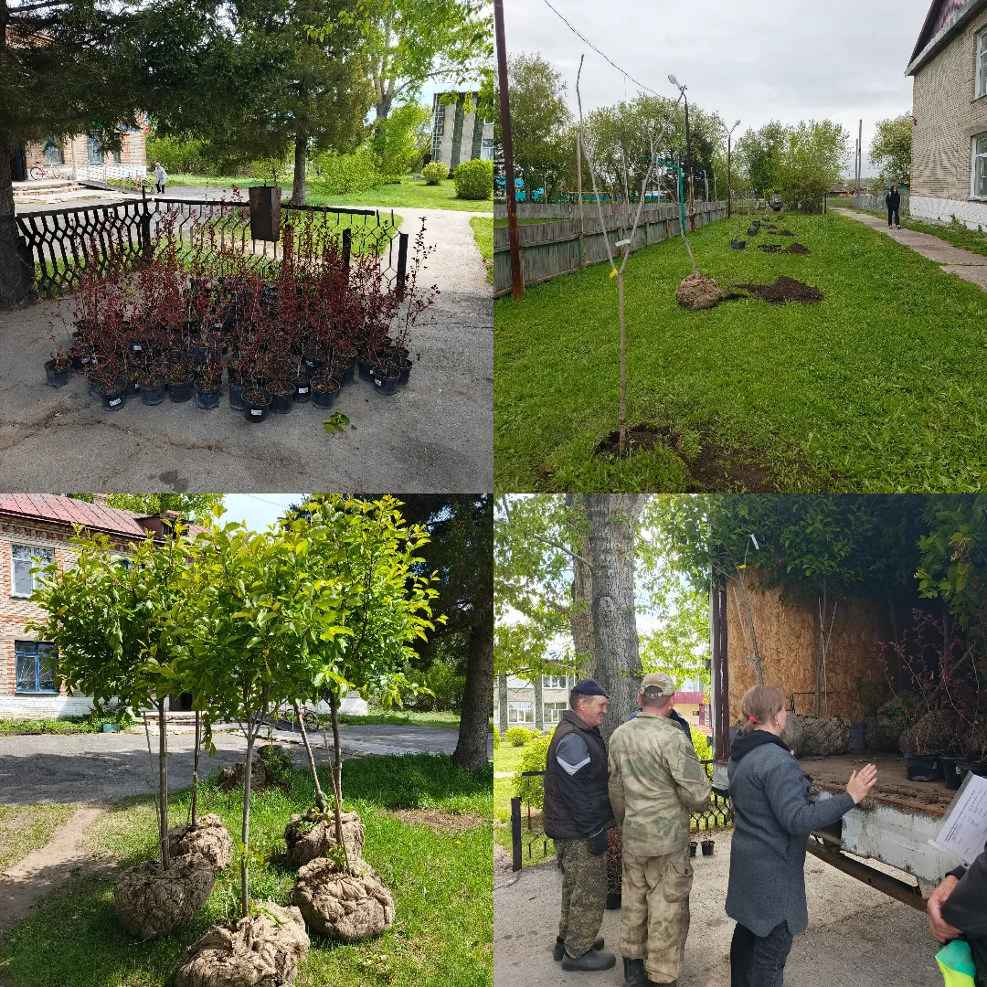 🌿 Добрый день!